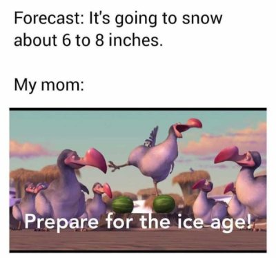 Forecast It's going to snow about 6 to 8 inches. My mom Prepare for the ice age!