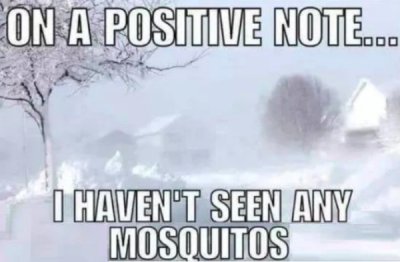 north dakota winter memes - On A Positive Note... I Haven'T Seen Any Mosquitos