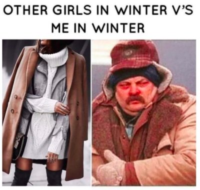 winter meme - Other Girls In Winter V'S Me In Winter