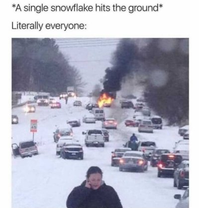 north carolina snow meme - A single snowflake hits the ground Literally everyone