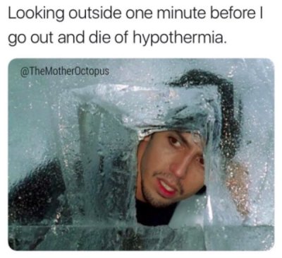 enneagram type 5 jokes - Looking outside one minute before I go out and die of hypothermia. MotherOctopus