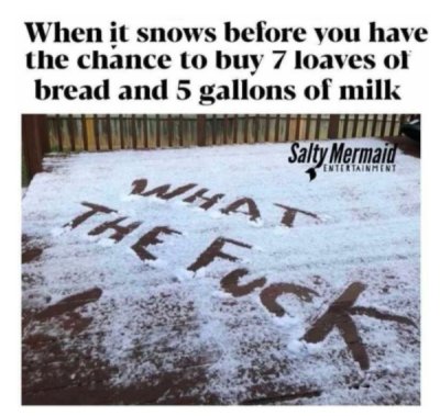 saps - When it snows before you have the chance to buy 7 loaves of bread and 5 gallons of milk Salty Mermaid Entertainment What The Fuc fuck