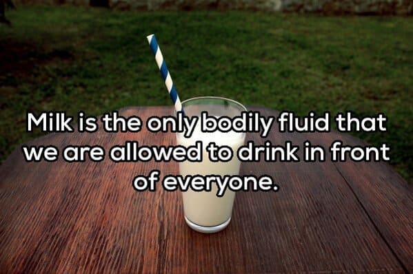 tip top - Milk is the only bodily fluid that we are allowed to drink in front of everyone.