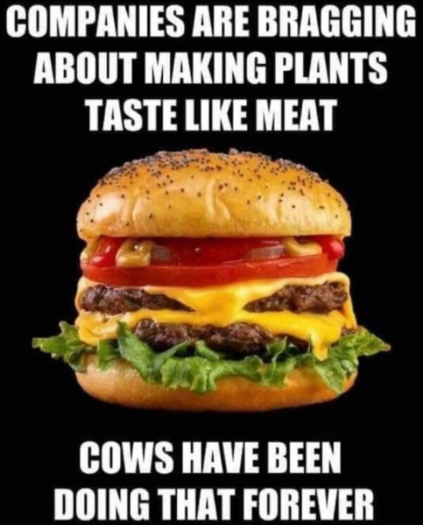 funny memes - Companies Are Bragging About Making Plants Taste Meat Cows Have Been Doing That Forever