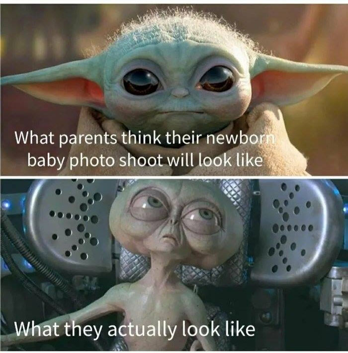 funny memes - baby yoda giggle - What parents think their newborn baby photo shoot will look What they actually look