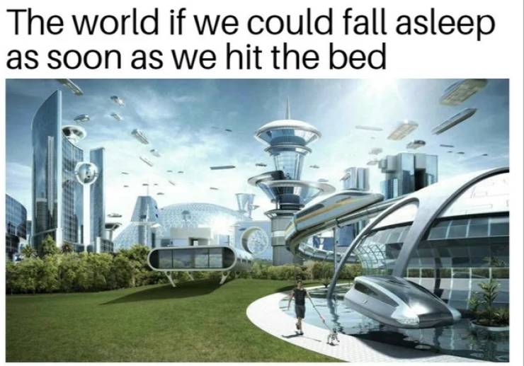 funny memes - The world if we could fall asleep as soon as we hit the bed