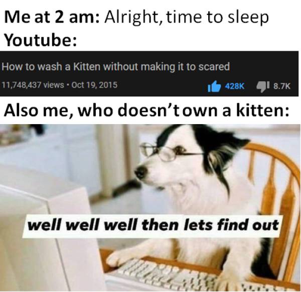 funny memes - Me at 2 am Alright, time to sleep Youtube How to wash a kitten without making it too scared - Also me, who doesn't own a kitten well well well then lets find out
