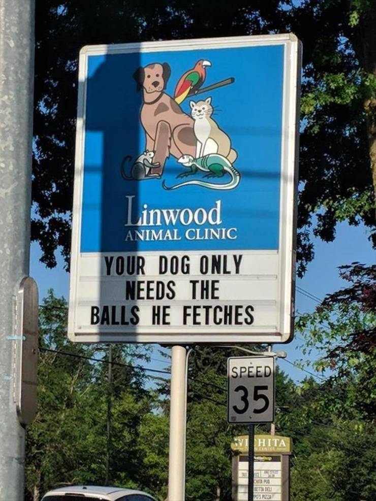 funny memes - Linwood Animal Clinic Your Dog Only Needs The Balls He Fetches