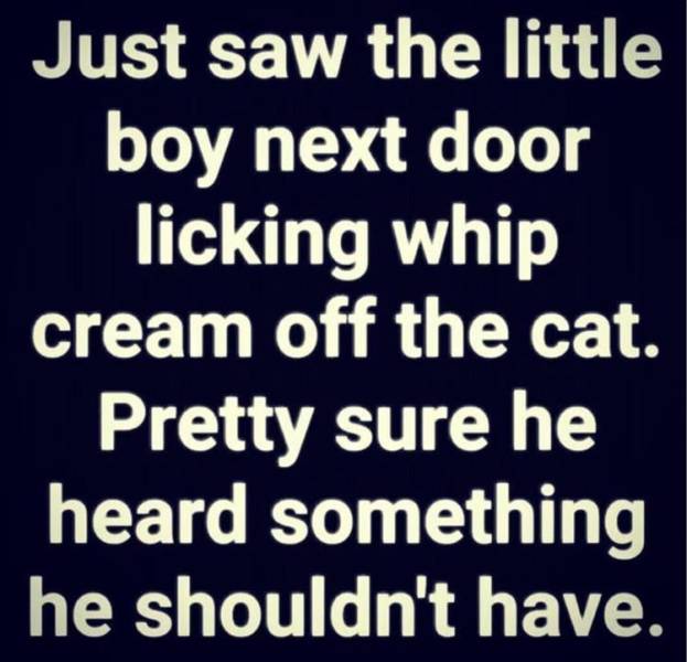 funny memes - Just saw the little boy next door licking whip cream off the cat. Pretty sure he heard something he shouldn't have.