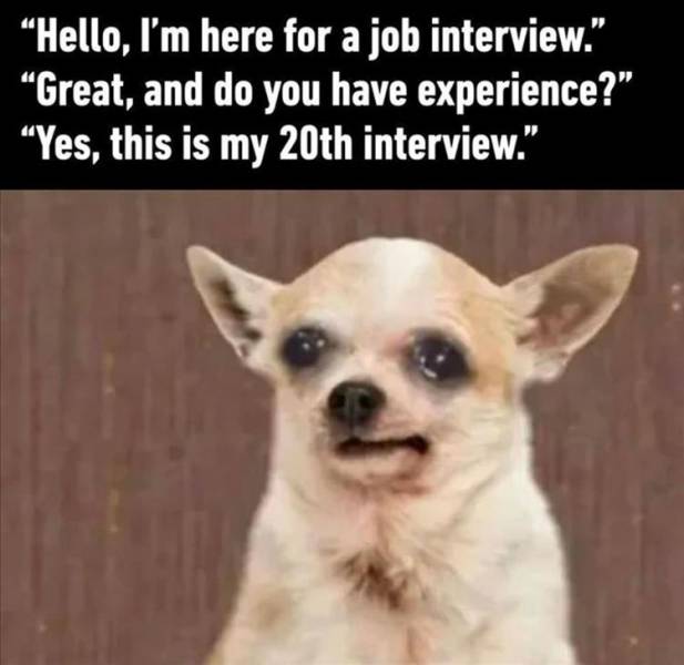 funny memes - hello I'm here for a job interview. great, and do you have experience? yes this is my 20th interview