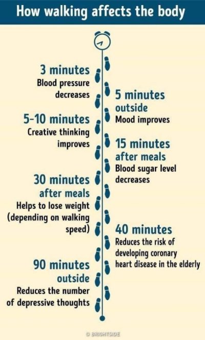 walking affects the body - How walking affects the body 3 minutes Blood pressure decreases 5 minutes outside 510 minutes Mood improves Creative thinking improves 15 minutes after meals Blood sugar level 30 minutes decreases after meals Helps to lose weigh