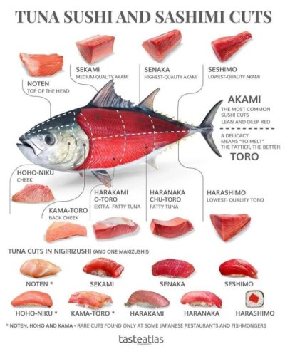 fish - Tuna Sushi And Sashimi Cuts Sekami Medium Quality Ami Senaka Highest Quality Akami Seshimo LowestQuality Akami Noten Top Of The Head Akami The Most Common Sushi Cuts Lean And Deep Red A Delicacy Means To Melt The Fattier The Better Toro HohoNiku Ch