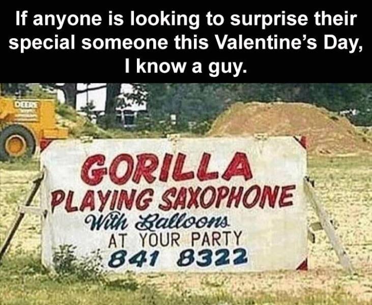signage - If anyone is looking to surprise their special someone this Valentine's Day, I know a guy. Deore Gorilla Playing Saxophone With Ralloons At Your Party 841 8322