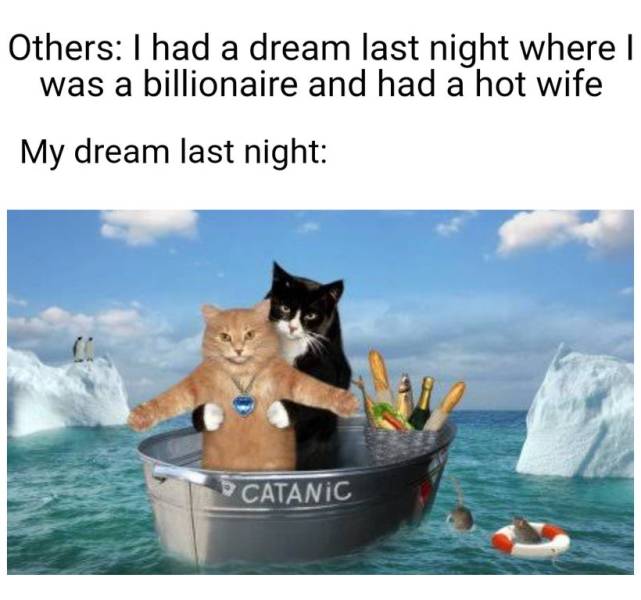 cat sinking boat - Others I had a dream last night where I was a billionaire and had a hot wife My dream last night Catanic