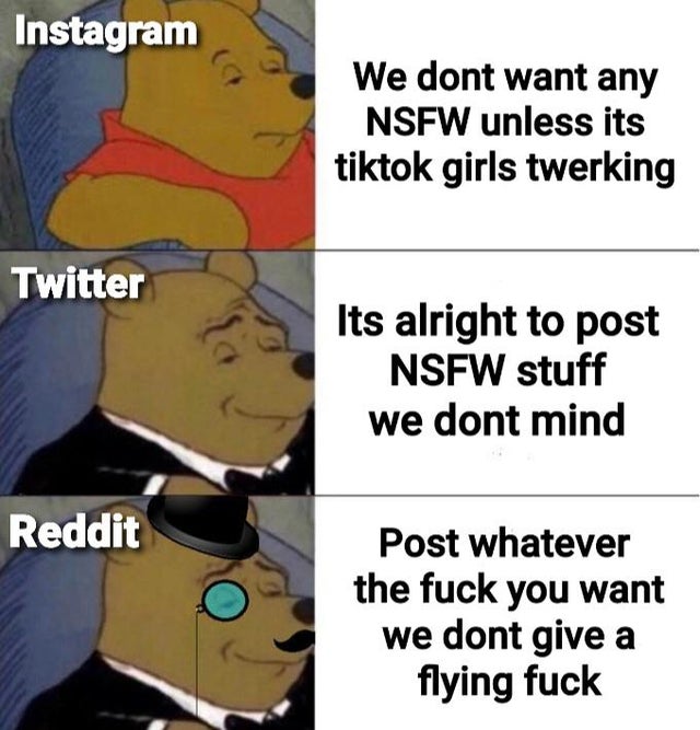 cartoon - Instagram We dont want any Nsfw unless its tiktok girls twerking Twitter Its alright to post Nsfw stuff we dont mind Reddit Post whatever the fuck you want we dont give a flying fuck