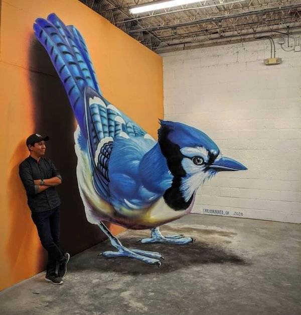 34 Amazing 3D Street Art Works