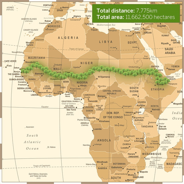 To combat the threat of desertification of the Sahel (the region immediately to the south of the Sahara), the African Union is leading an initiative to plant the Great Green Wall, a 7,775 km (4,830 mi) belt of trees crossing the entire breadth of North Africa