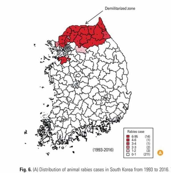 South Korea is one of the few developed countries that still reports rabies cases (albeit extremely low numbers—no human infection since 2004 and no animal infection since 2014). Officials blame unvaccinated animals from North Korea crossing into the south through the porous DMZ.