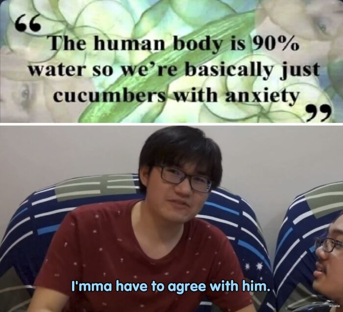 photo caption - The human body is 90% water so we're basically just cucumbers with anxiety 9 I'mma have to agree with him.