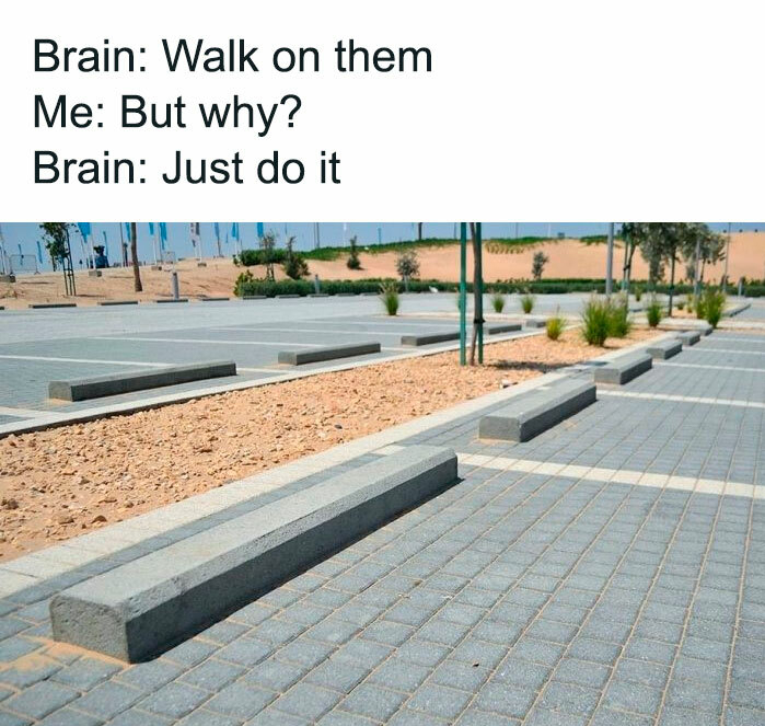 Brain Walk on them Me But why? Brain Just do it