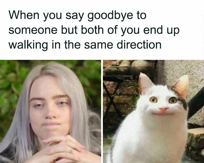 95 Memes You Can Relate To