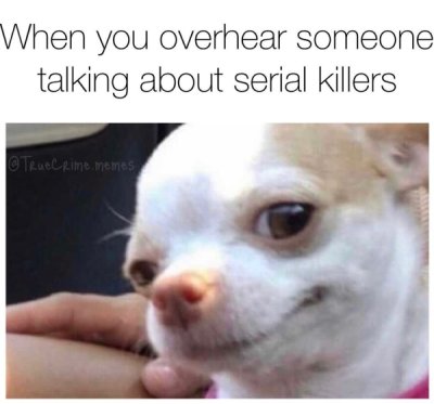 dogs reaction - When you overhear someone talking about serial killers True Crime memes
