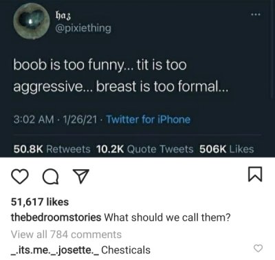 carpe dm me - haz boob is too funny... tit is too aggressive... breast is too formal... 12621. Twitter for iPhone Quote Tweets a o 51,617 thebedroomstories What should we call them? View all 784 _.its.me._.josette._ Chesticals