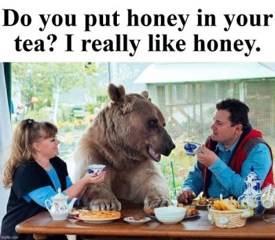 bear eating cake - Do you put honey in your tea? I really honey.