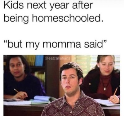 kids next year after being homeschooled - Kids next year after being homeschooled. "but my momma said"
