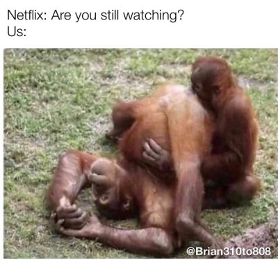 fauna - Netflix Are you still watching? Us