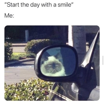 start the day with a smile cat meme - "Start the day with a smile" Me