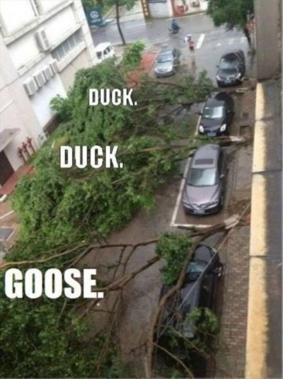 duck duck goose cars - Duck Duck. Goose.
