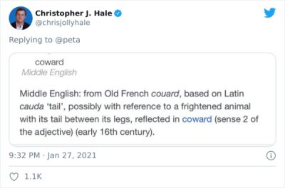 PETA Is Getting Roasted For Suggesting Animal Insult Alternatives