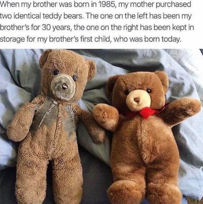 teddy bears for my brother - When my brother was born in 1985, my mother purchased two identical teddy bears. The one on the left has been my brother's for 30 years, the one on the right has been kept in storage for my brother's first child, who was born 