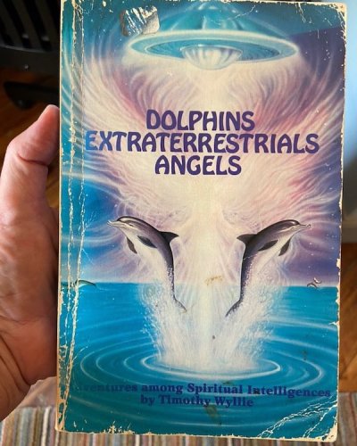 poster - Dolphins Extraterrestrials Angels entures among Spiritual Intelligences, by Timothy Willie