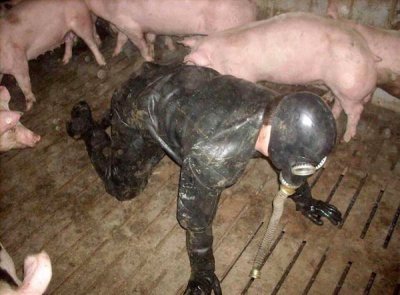 farm bdsm