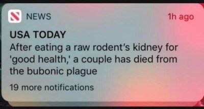 media - S News 1h ago Usa Today After eating a raw rodent's kidney for 'good health,' a couple has died from the bubonic plague 19 more notifications