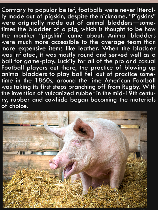 fauna - Contrary to popular belief, footballs were never literal ly made out of pigskin, despite the nickname. "Pigskins" were originally made out of animal bladderssome times the bladder of a pig, which is thought to be how the moniker "pigskin" came abo