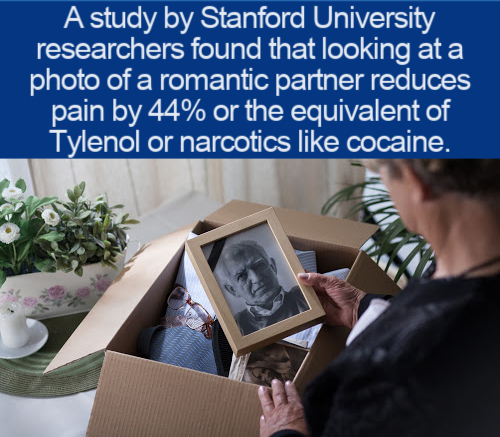 A study by Stanford University researchers found that looking at a photo of a romantic partner reduces pain by 44% or the equivalent of Tylenol or narcotics cocaine.