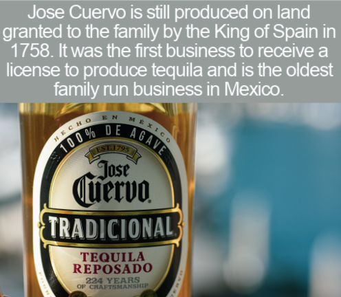 jose cuervo - Jose Cuervo is still produced on land granted to the family by the King of Spain in 1758. It was the first business to receive a license to produce tequila and is the oldest family run business in Mexico. exico Est.1795 Jose Cuervo Tradicion