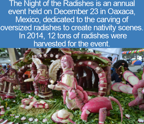 local food - The Night of the Radishes is an annual event held on December 23 in Oaxaca, Mexico, dedicated to the carving of oversized radishes to create nativity scenes. In 2014, 12 tons of radishes were harvested for the event.