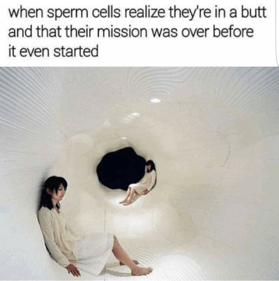 dirty meme - when sperm cells realize they're in a butt and that their mission was over before it even started