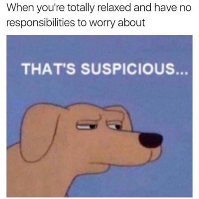suspicious memes - When you're totally relaxed and have no responsibilities to worry about That'S Suspicious...