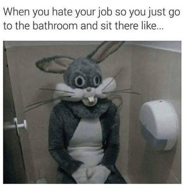 funny life memes - When you hate your job so you just go to the bathroom and sit there ...