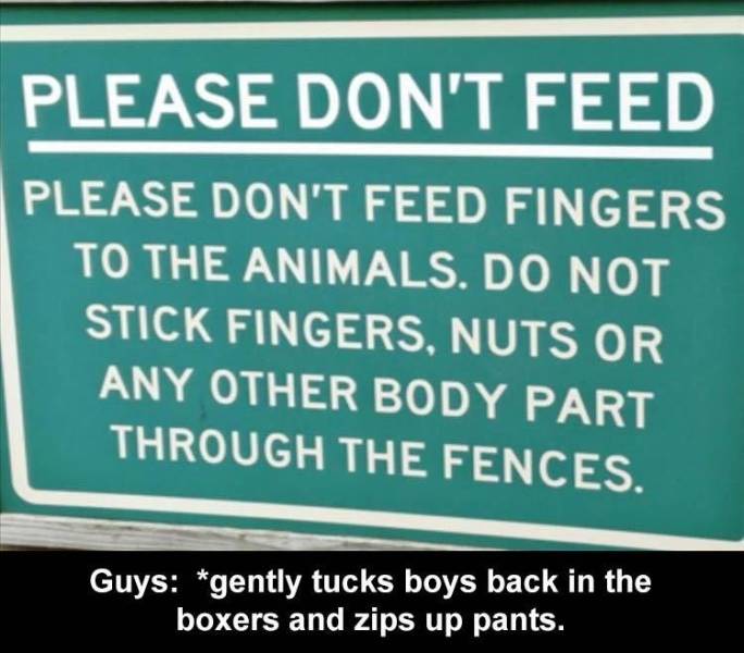 banner - Please Don'T Feed Please Don'T Feed Fingers To The Animals. Do Not Stick Fingers, Nuts Or Any Other Body Part Through The Fences. Guys gently tucks boys back in the boxers and zips up pants.