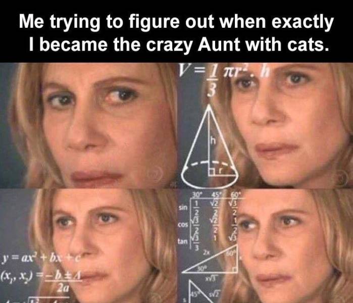 funny thinking math meme - Me trying to figure out when exactly I became the crazy Aunt with cats. V1 nr. 3 1 60 Sin wionnel Cos tan y ax bx c x,x b Sc w 2a 1457