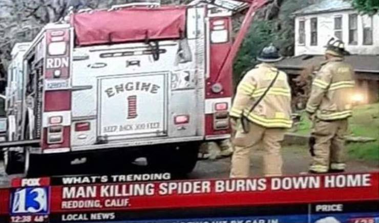 percy jackson memes funny - Rdn Engine For 13 What'S Trending Man Killing Spider Burns Down Home Redding, Cauf. Local News Price