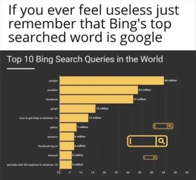 if you ever feel useless meme - If you ever feel useless just remember that Bing's top searched word is google Top 10 Bing Search Queries in the World "T teenters