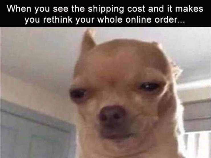 dog meme face - When you see the shipping cost and it makes you rethink your whole online order...