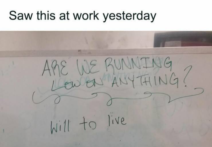 47 Work Memes & Jokes